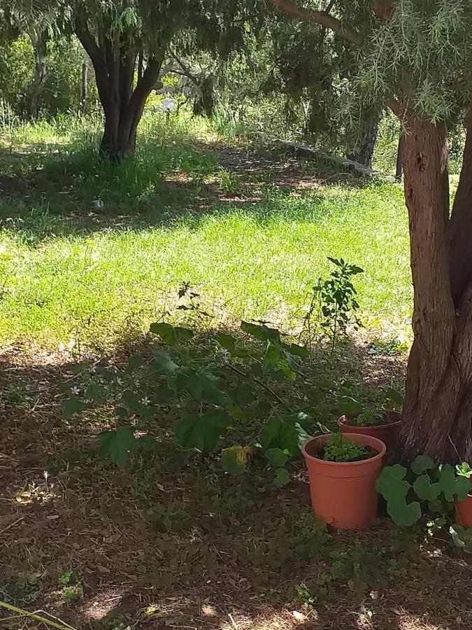 B&B Daillu Όλμπια Εξωτερικό φωτογραφία