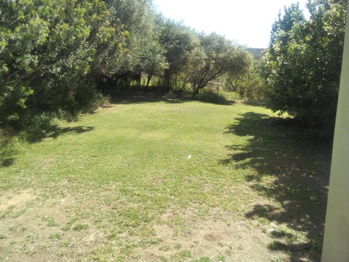 B&B Daillu Όλμπια Εξωτερικό φωτογραφία