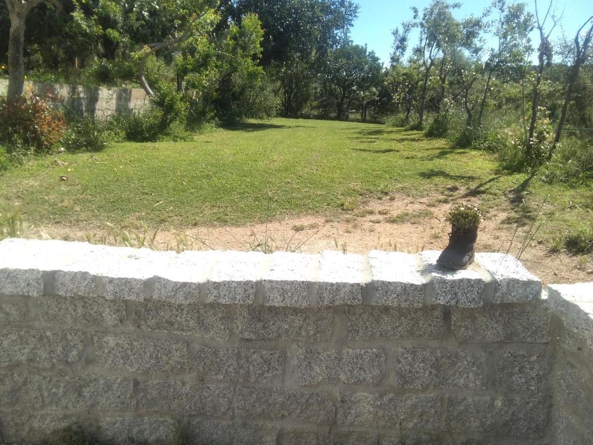 B&B Daillu Όλμπια Εξωτερικό φωτογραφία