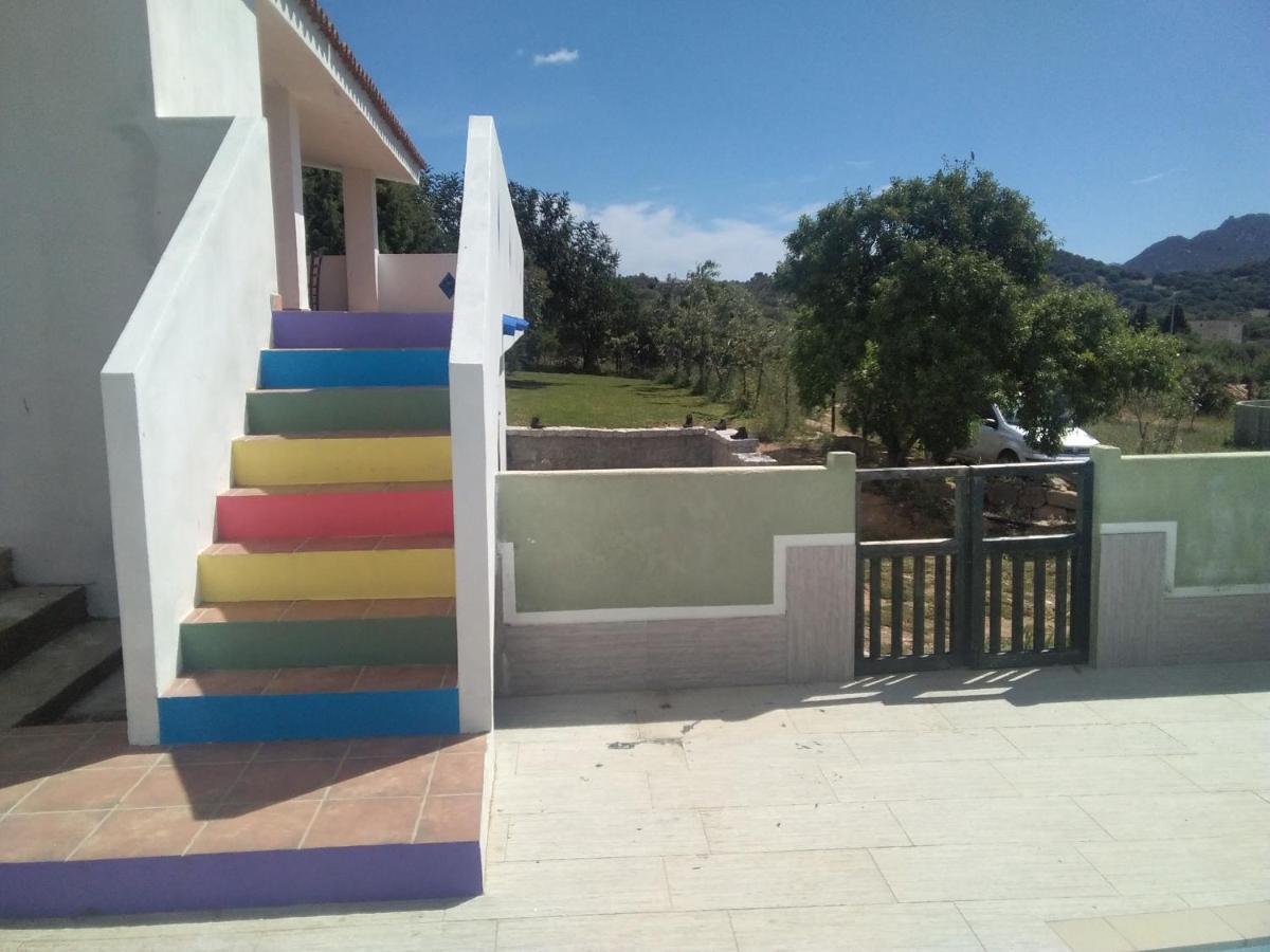 B&B Daillu Όλμπια Εξωτερικό φωτογραφία